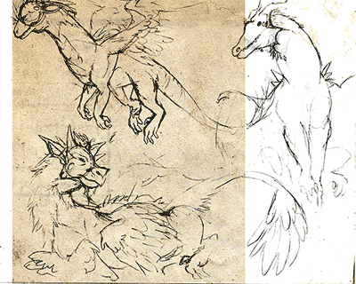 croquis-01