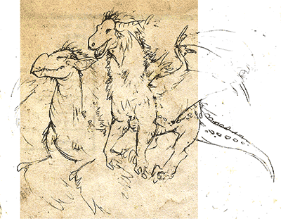 croquis-03