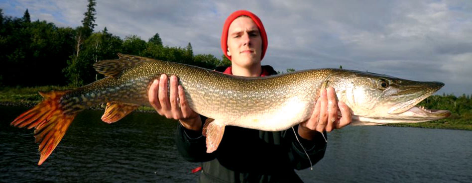 brochet, poisson, jeune homme, pêche