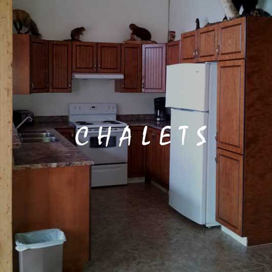 cuisine, armoires, chalet
