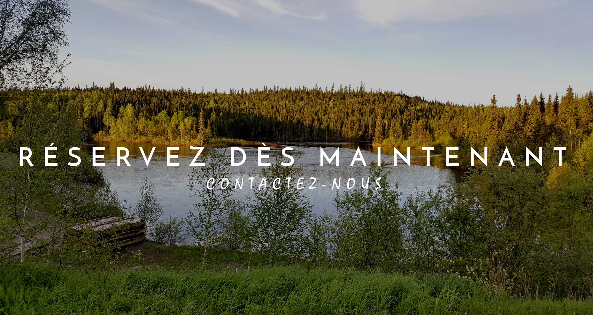 rivière, forêt, arbres, lac, paysage