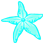 Étoile de mer