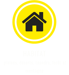 icone habitat