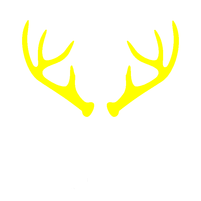 horns