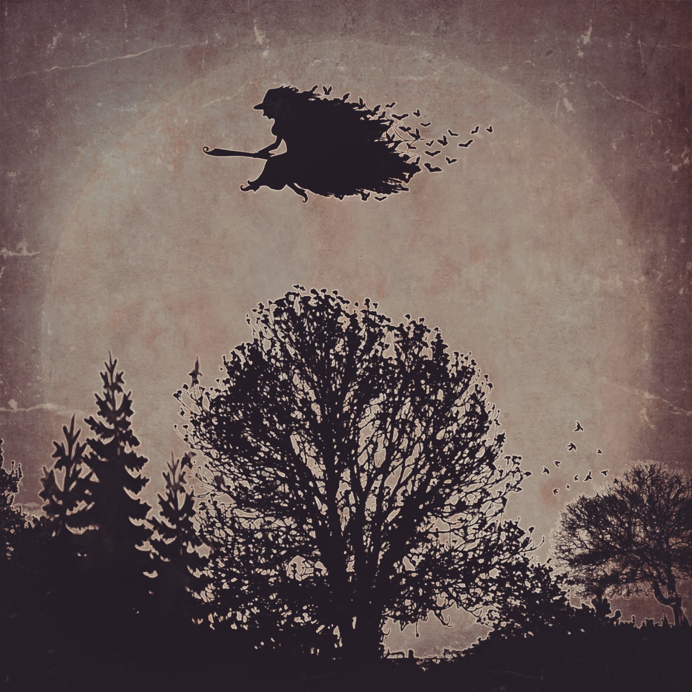 montage photoshop