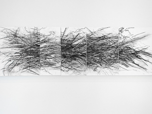 Photographie de l'oeuvre Ruisseaux#7, Fusain sur papier, 2019