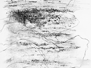 Photographie de l'oeuvre Procès-verbal, 2020, fusain sur papier, 8 x 5 pi