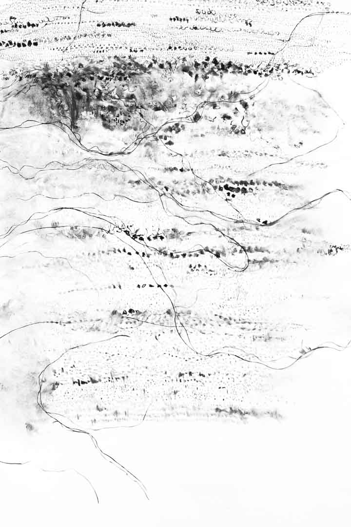 Image du dessin Procès-verbal, fusain sur papier, 244 x 152 cm