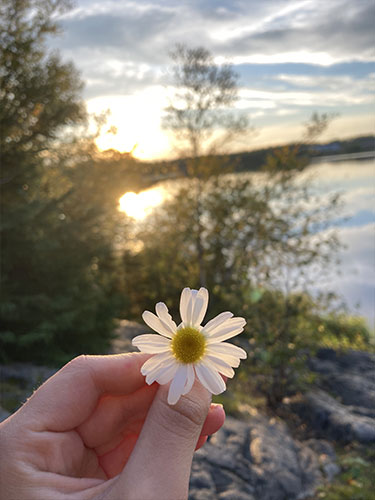 Marguerite devant le lac Noranda