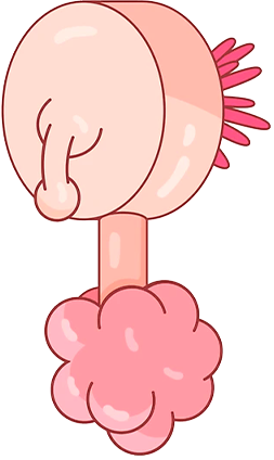 Plumbus off